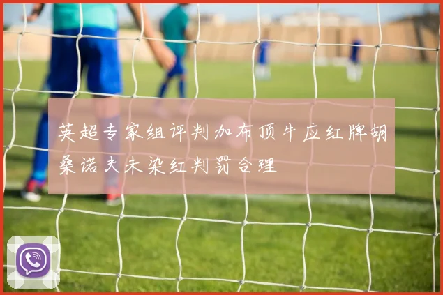 英超专家组评判加布顶牛应红牌胡桑诺夫未染红判罚合理