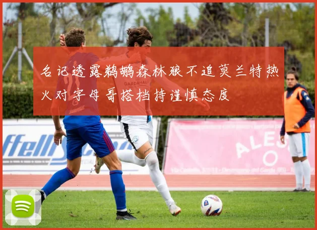 名记透露鹈鹕森林狼不追莫兰特热火对字母哥搭档持谨慎态度