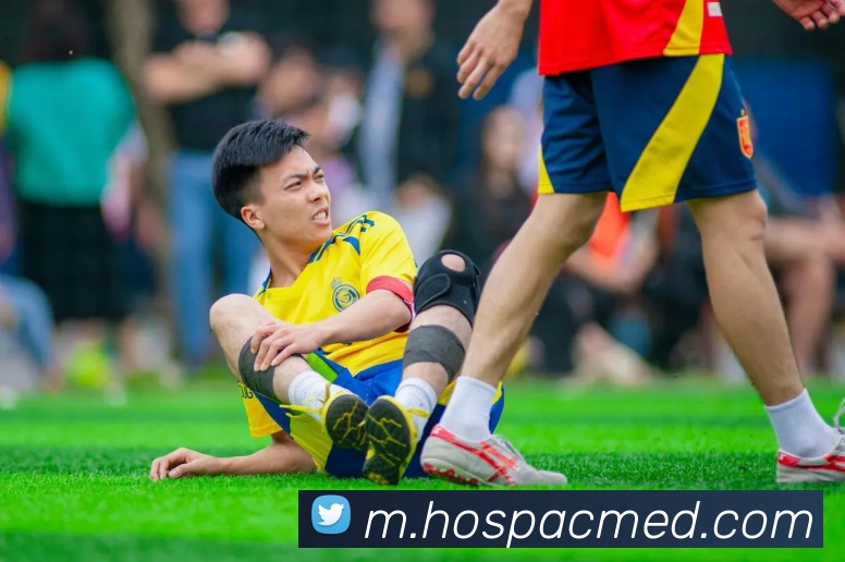 mksports体育全站App
